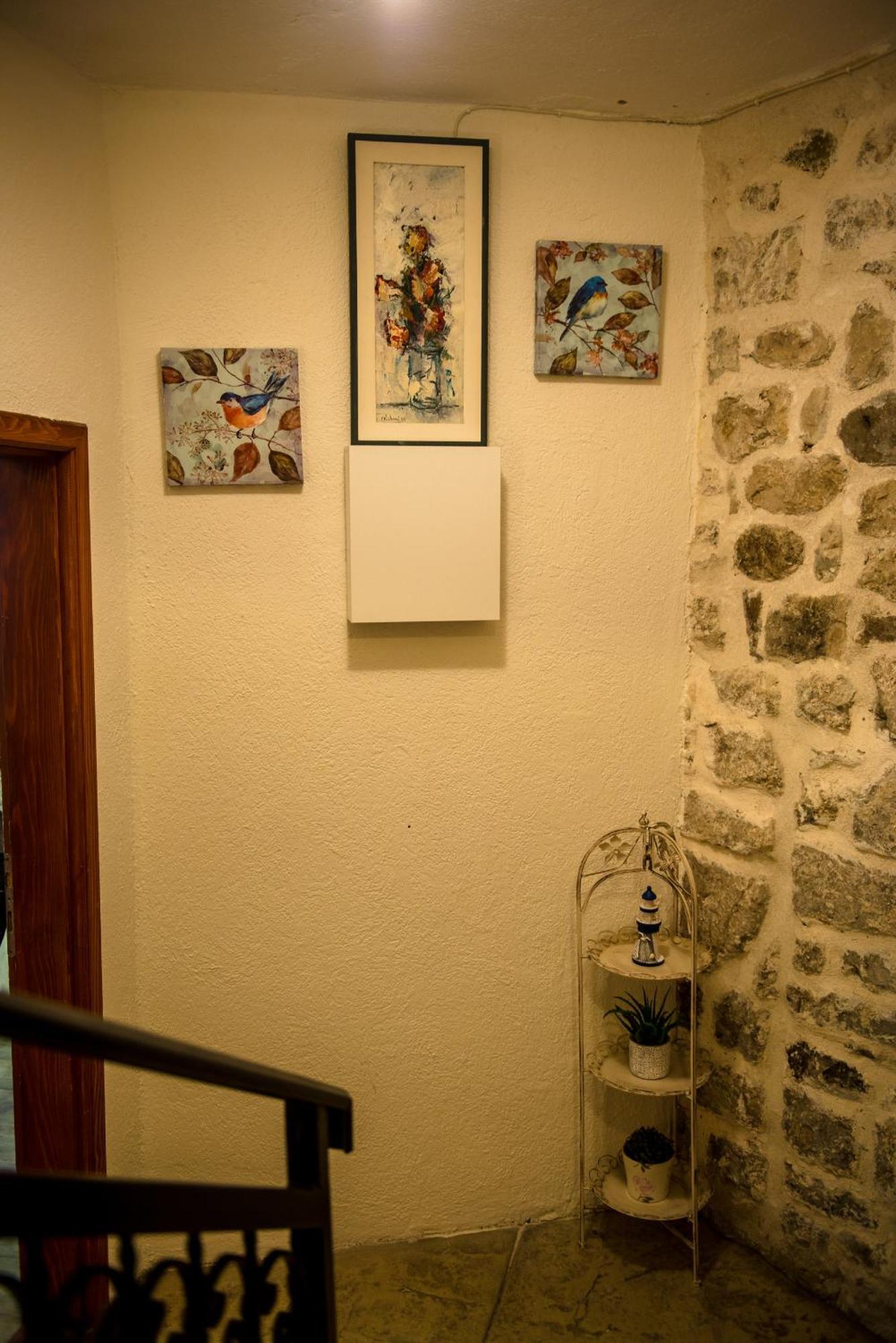 Antika Guesthouse コトル エクステリア 写真